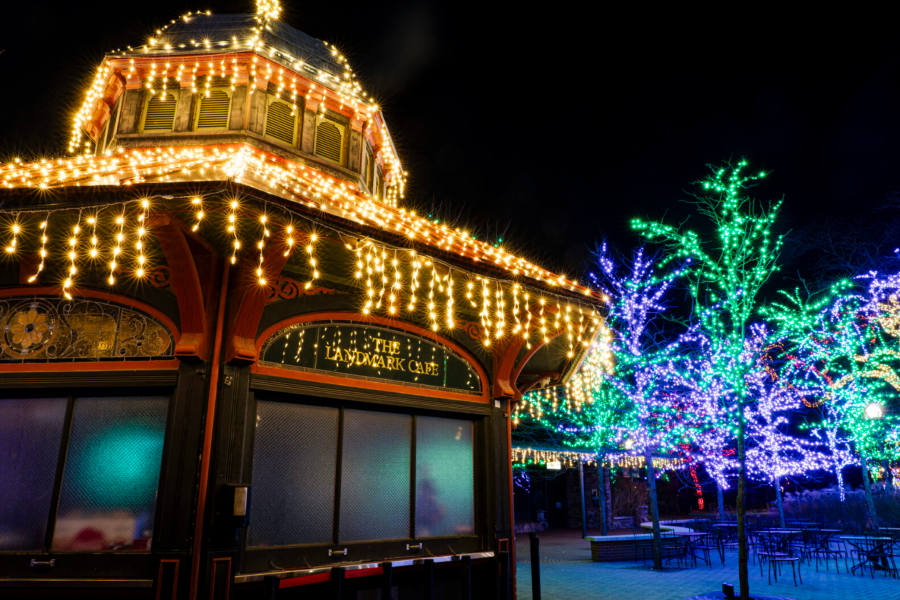 ZooLights returns to the Lincoln Park Zoo and Chicago Star has your exclusive passes 3